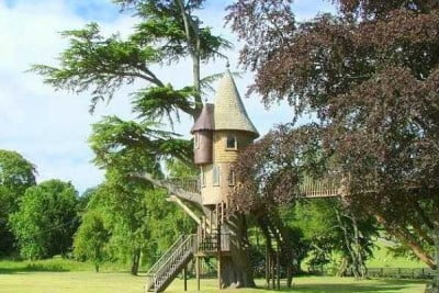 Tree House Designs For Kids